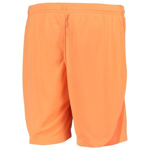 THIRD 22/23 SHORTS